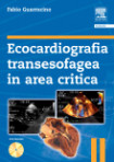 Ecocardiografia transesofagea in area critica